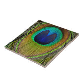 雄孔雀の尾羽 タイル (側面)