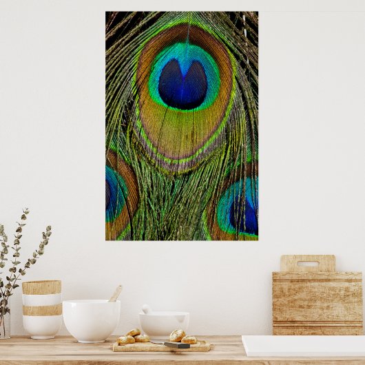 雄孔雀の尾羽 ポスター (キッチン)