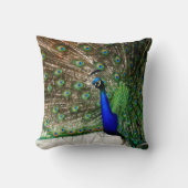 雄孔雀の羽飾り クッション (正面)