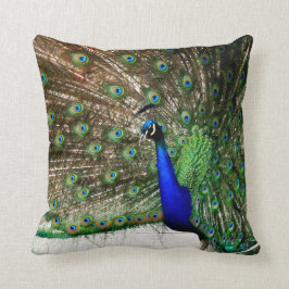 雄孔雀の羽飾り クッション