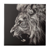 雄怒獅子 タイル (正面)