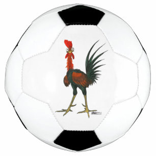 雄熱狂する鶏 サッカーボール