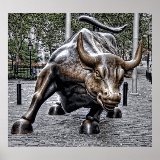 雄牛の力 ポスター (正面)