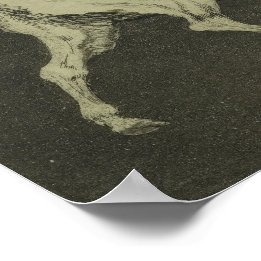 雄牛の愚行 ポスター (角)