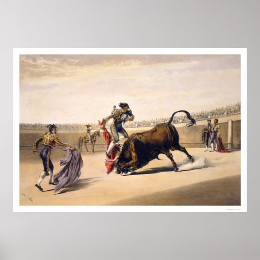 雄牛を飛び上げる ポスター (正面)