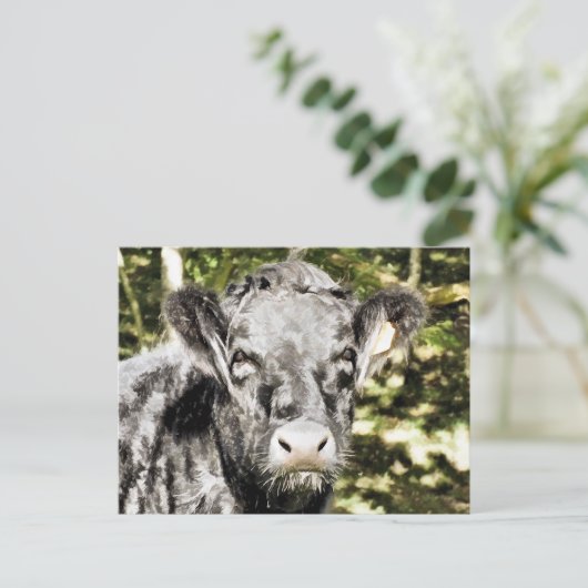 雄牛 ポストカード (スタンド正面)