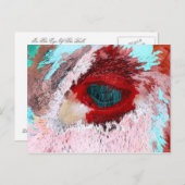 雄牛 ポストカード (正面/裏面)