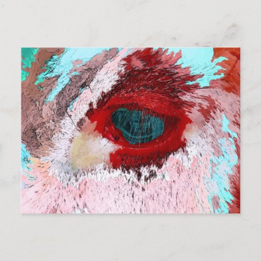 雄牛 ポストカード (正面)