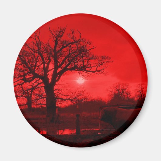 雄牛 マグネット (正面)