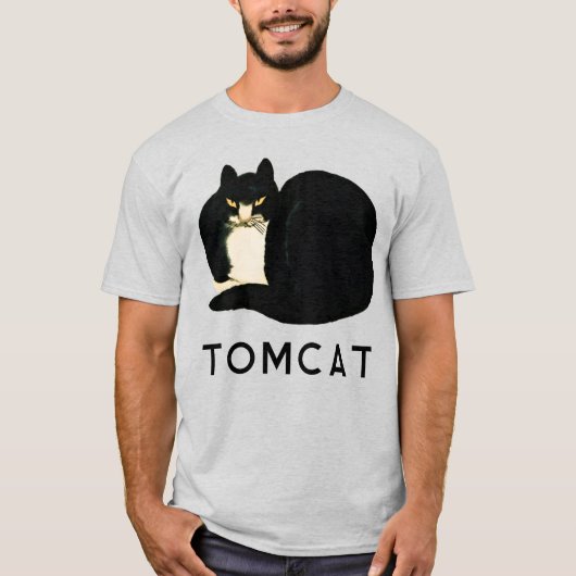 雄猫中国の清朝黒万柱猫 Tシャツ (正面)