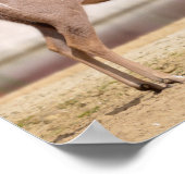 雄素晴らし葛 ポスター (角)