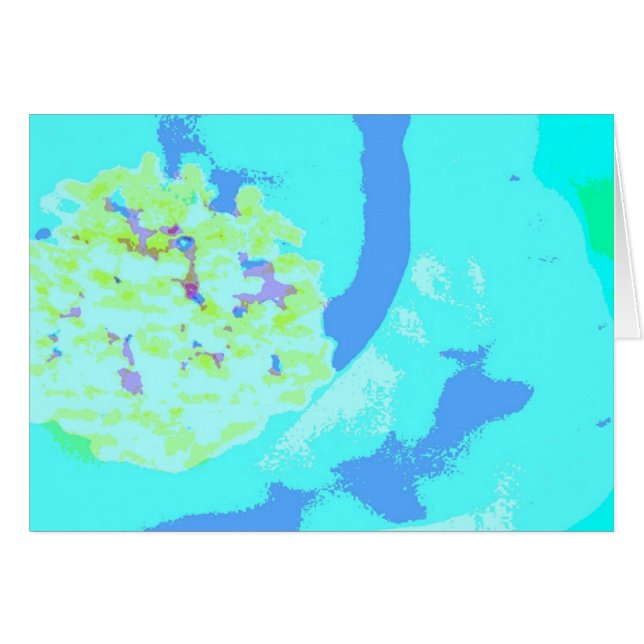 雄蕊。 1つ (正面横)