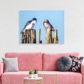 雄雌ツバメ キャンバスプリント (インサイチュ (リビング))