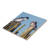 雄雌ツバメ タイル (側面)