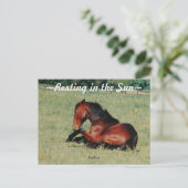 雄馬の休息 ポストカード (スタンド正面)