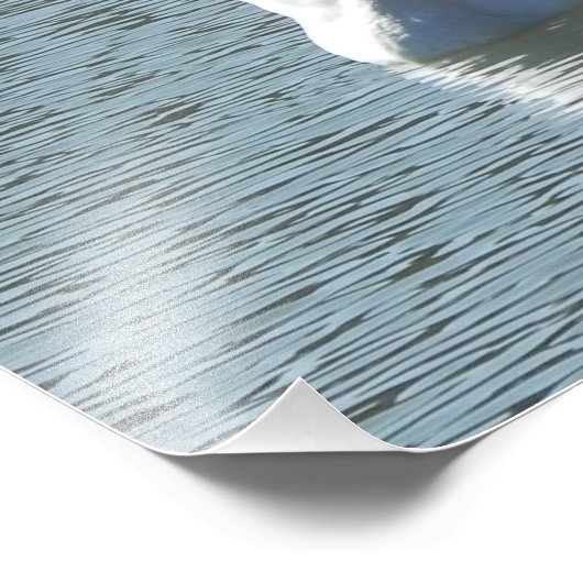 雄鳥 フォトプリント            (角)