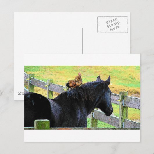 雄鶏と雌馬 ポストカード (正面/裏面)