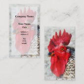 雄鶏の肖像 名刺 (正面/裏面)