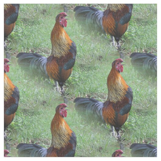 雄鶏の鳴き声 動物の自然のパターン ファブリック (クローズアップ)