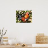 雄鶏 ポスター (キッチン)