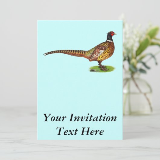 雄鶏 招待状 (スタンド正面)