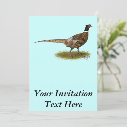 雄鶏 招待状 (スタンド正面)