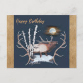 雄鹿のポストカード ポストカード (正面)