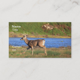 雄鹿の名刺 名刺