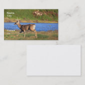 雄鹿の名刺 名刺 (正面/裏面)