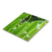 雄鹿の舌シダのタイル タイル (側面)