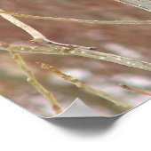 雄（鳥）ショウジョウコウカンチョウキャンバス印刷 ポスター (角)