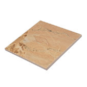 雅田からの眺め タイル (側面)