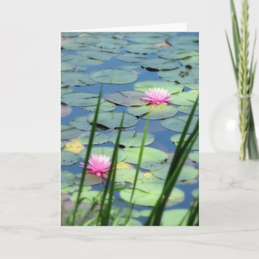 集まる カード (正面)