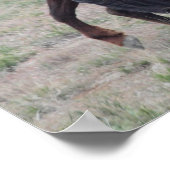 集まる ポスター (角)