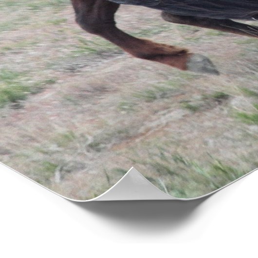 集まる ポスター (角)