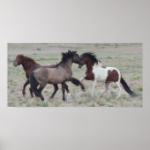 集まる ポスター (正面)