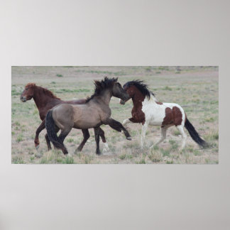 集まる ポスター