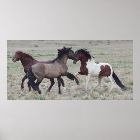 集まる ポスター (正面)