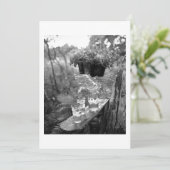 集まろう！招待状 招待状 (スタンド正面)