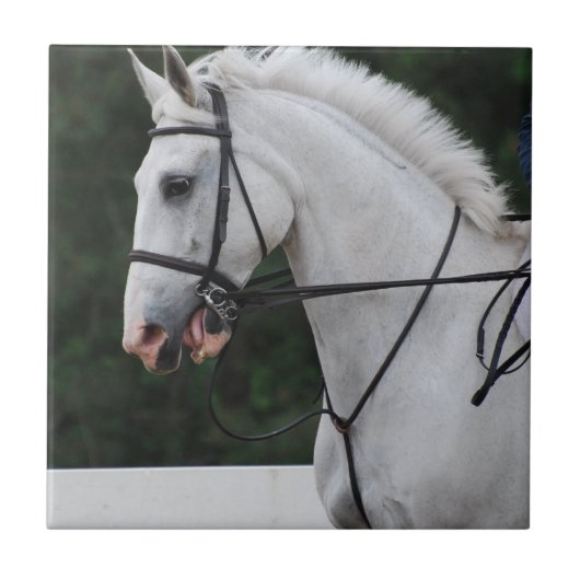 集められた白馬のタイル タイル (正面)