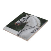 集められた白馬のタイル タイル (側面)