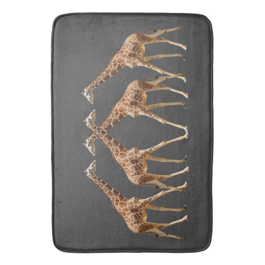 集中性 バスマット (正面縦)