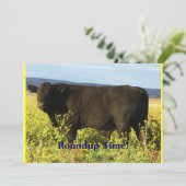 集合の時間! 牛ドライブ-西部のスタイルのパーティー 招待状 (スタンド正面)