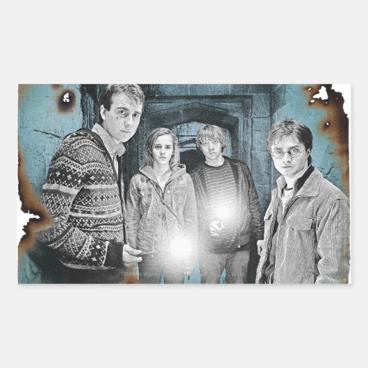 集合写真1 長方形シール (正面)