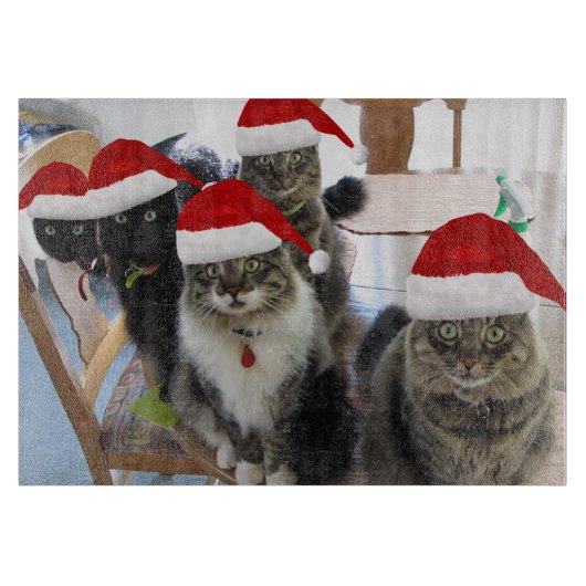 集団クリスマスガラスの切断板 カッティングボード (正面)