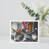 集団ハガキ ポストカード (スタンド正面)