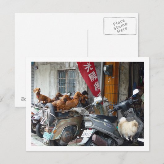 集団ハガキ ポストカード (正面/裏面)