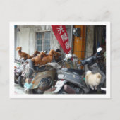 集団ハガキ ポストカード (正面)