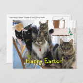 集団ハッピーイースターはがき シーズンポストカード (正面/裏面)