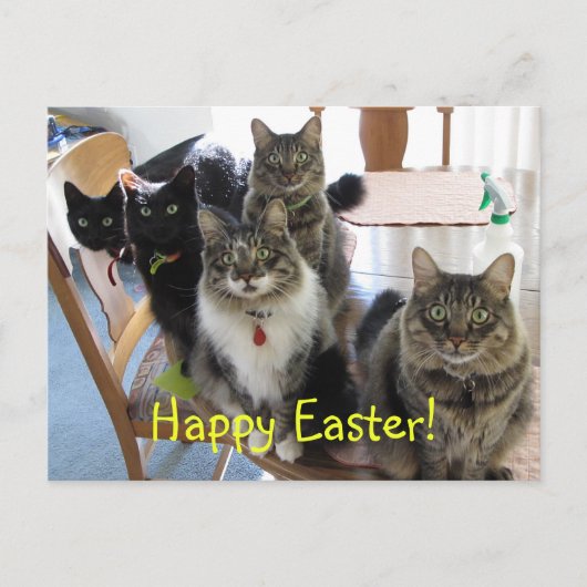 集団ハッピーイースターはがき シーズンポストカード (正面)